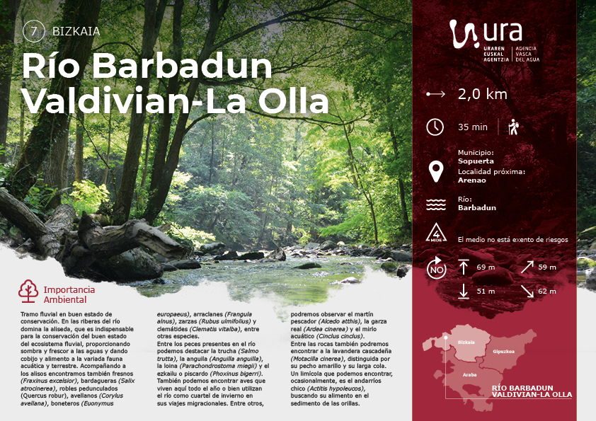 Descarga recorrido por el r&iacute;o BArbandun en Valdivian-La Olla