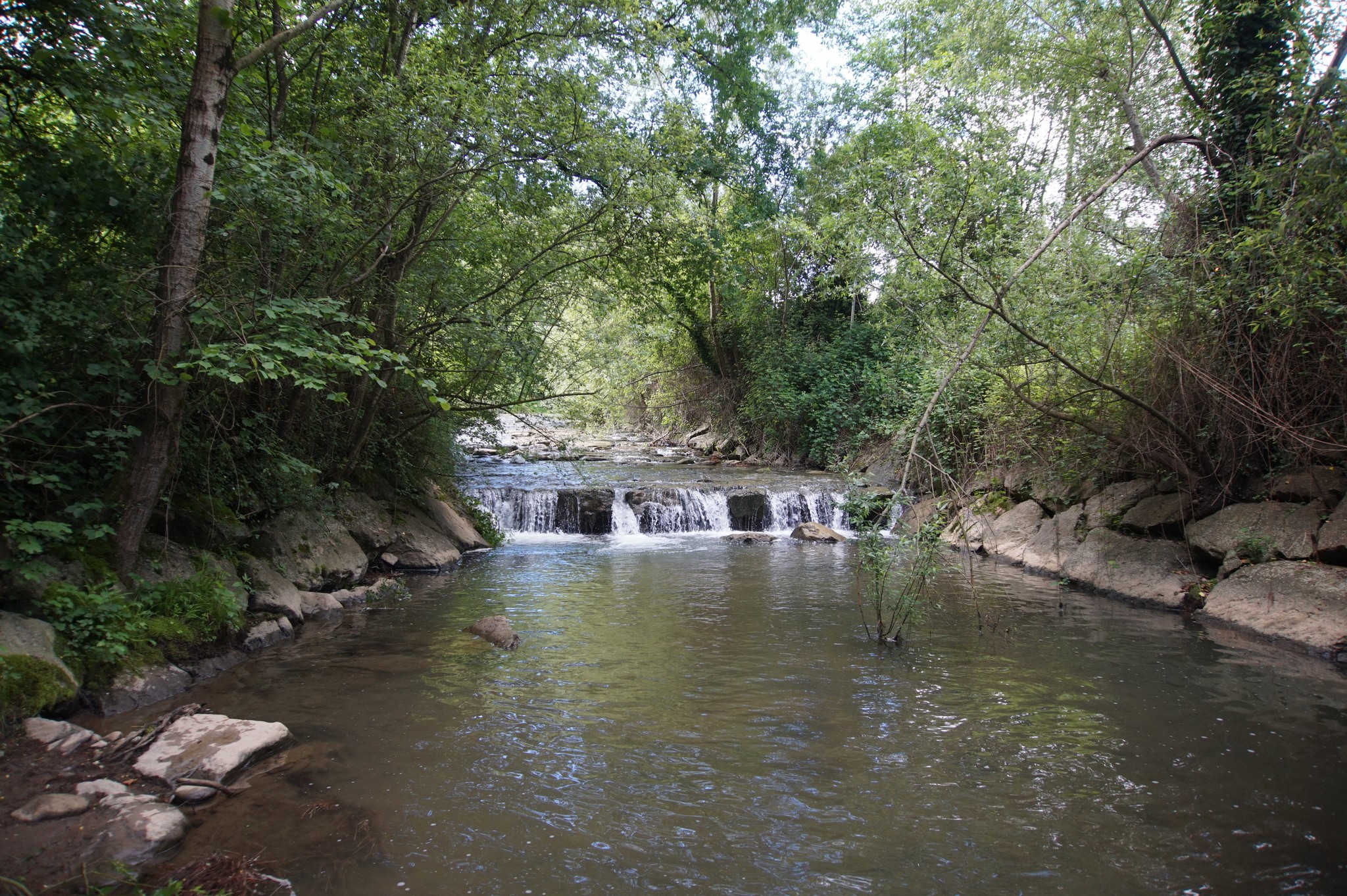 Segura ibaia